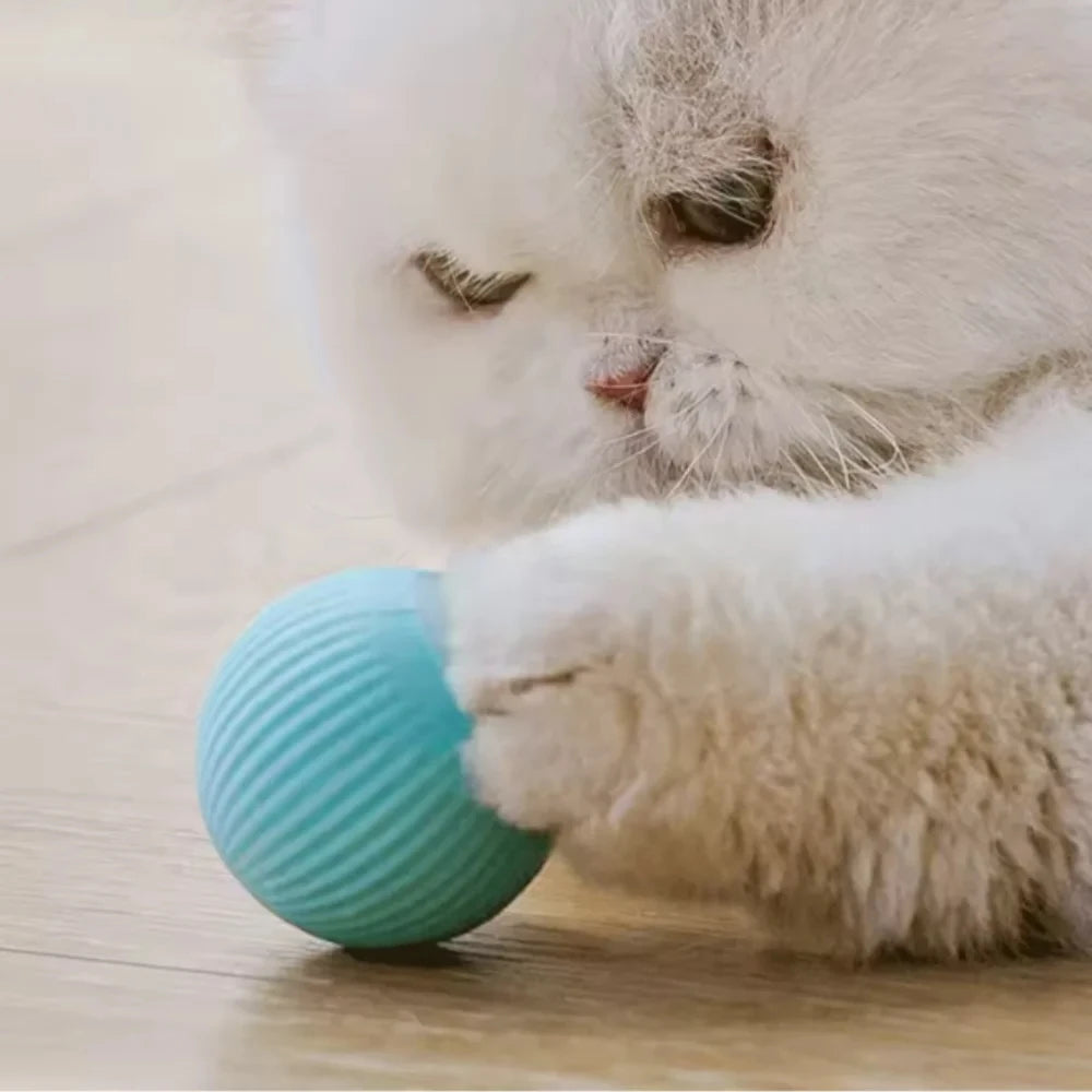 Cat Toys Interactive Ball , Electronic, Automatic Rolling Ball
